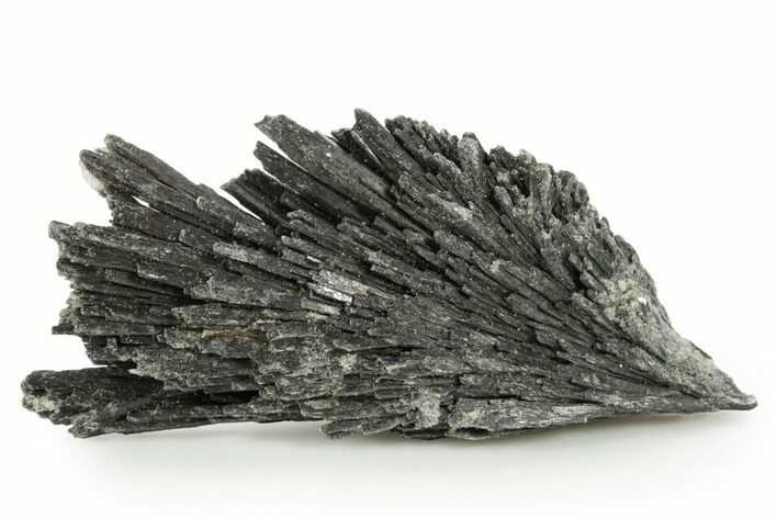 Intricate Black Kyanite Crystal Fan - Brazil #268593